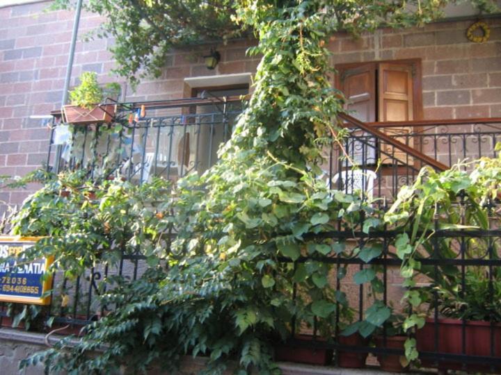 Μαχη Ενοικιαζόμενα Δωμάτια Митимна Экстерьер фото